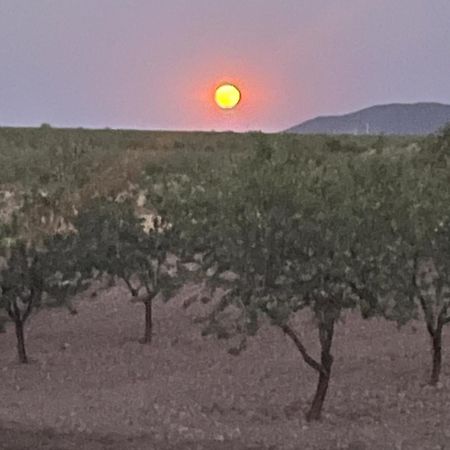 Cortijo Calma - Countryside Peace & Tranquility Appartement Oria Buitenkant foto