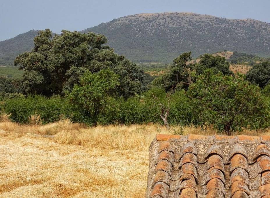 Cortijo Calma - Countryside Peace & Tranquility Appartement Oria Buitenkant foto